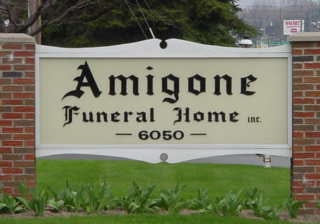 Amigone232