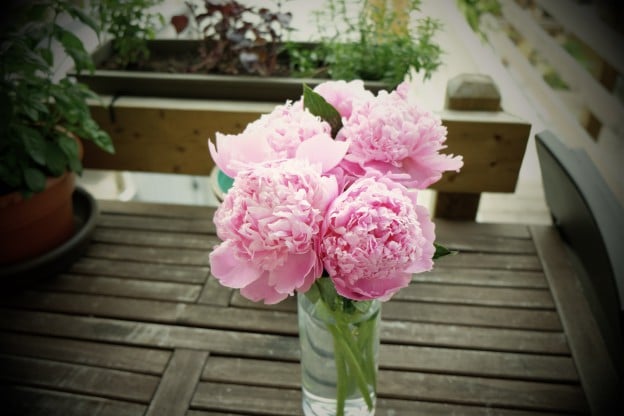 Life-of-Pix-free-stock-photos-bouquet-pink-flower-table-julien-sister